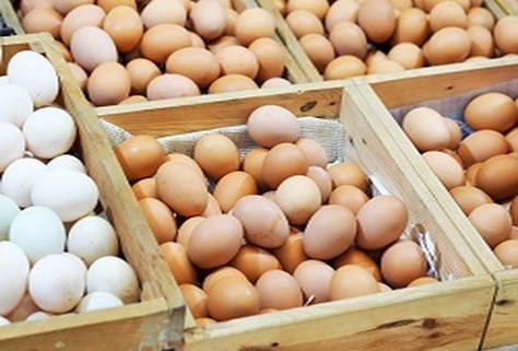 توضیحاتی درباره تخم مرغ محلی